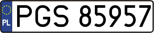 PGS85957