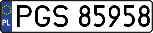 PGS85958
