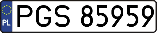 PGS85959
