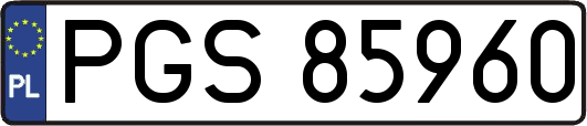 PGS85960