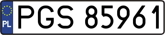 PGS85961