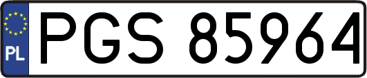 PGS85964