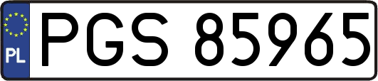 PGS85965