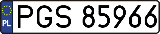 PGS85966