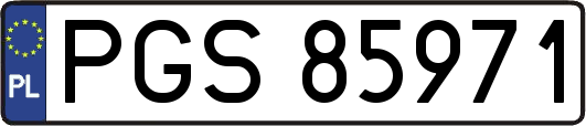 PGS85971