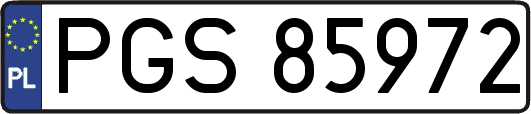 PGS85972