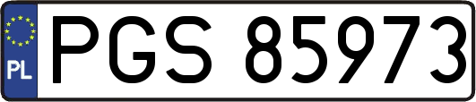 PGS85973