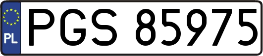 PGS85975