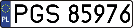 PGS85976