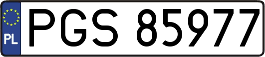 PGS85977