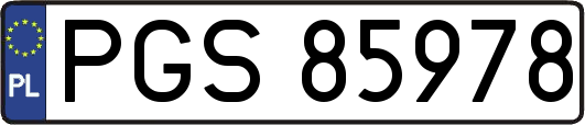 PGS85978