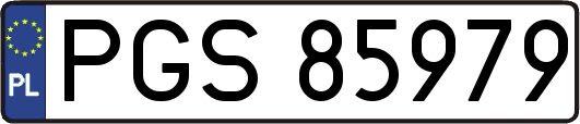 PGS85979