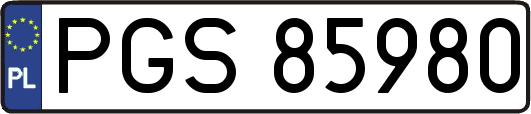 PGS85980