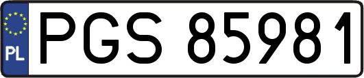 PGS85981