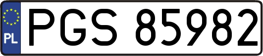 PGS85982