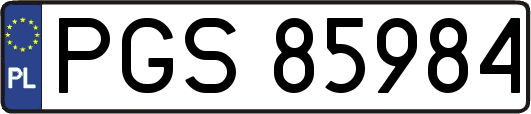 PGS85984