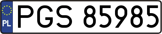 PGS85985