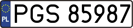 PGS85987