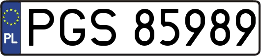 PGS85989