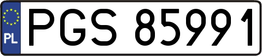 PGS85991