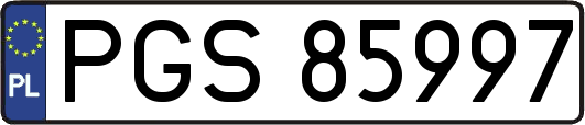 PGS85997
