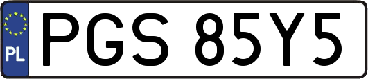 PGS85Y5