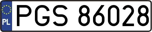 PGS86028
