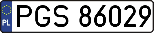 PGS86029