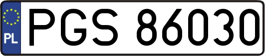 PGS86030