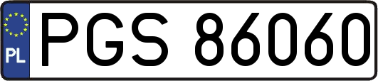 PGS86060