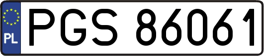 PGS86061