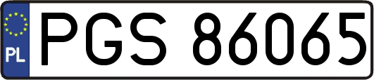 PGS86065