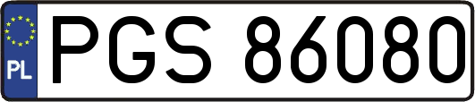 PGS86080
