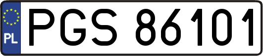 PGS86101