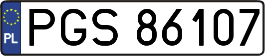 PGS86107