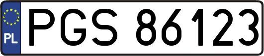 PGS86123