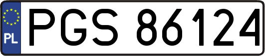 PGS86124