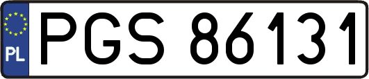 PGS86131