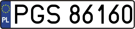 PGS86160