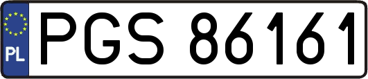 PGS86161