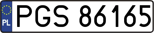PGS86165