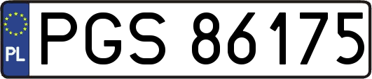 PGS86175