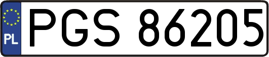 PGS86205