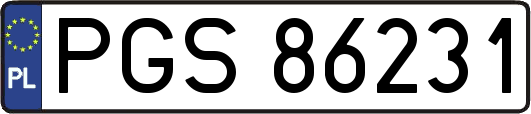 PGS86231