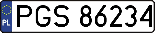 PGS86234