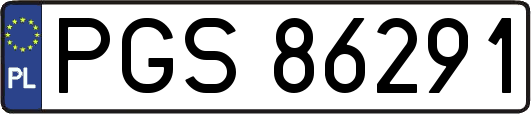 PGS86291