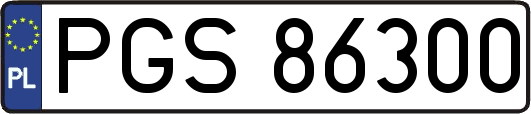PGS86300