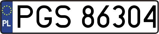 PGS86304