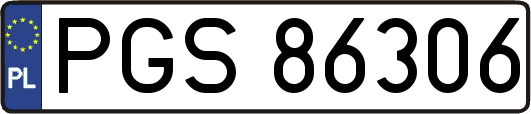 PGS86306