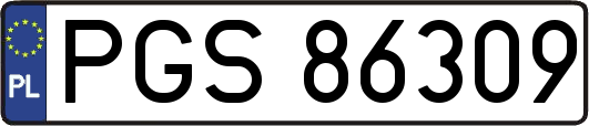 PGS86309